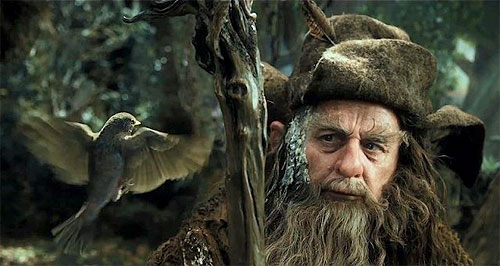 Radagast the Brown