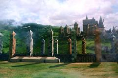 Quidditch Pitch